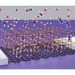 Sensitive and selective leap