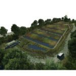 Wastewater treatment goes natural in Yorks
