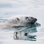 Ocean change is exacerbating the climate crisis