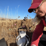 Livestock antibiotics and rising temperatures disrupt soil microbial communities