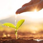 Plants struggle to keep pace with climate change, says study