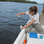 Septic system waste pervasive throughout Florida’s Indian River lagoon