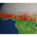 A decade of ammonia in Africa