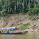 DNA sequencing helps explore fish diversity but lacks pinpoint accuracy