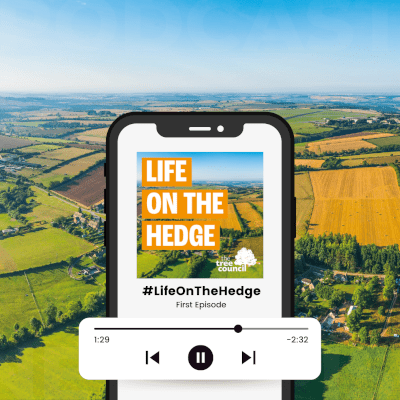 Life-On-The-Hedge-Podcast