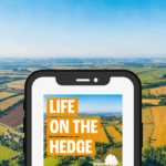 Podcast explores hedgerows and nature-based careers