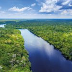 Global appraisal Rainforest in Latin America