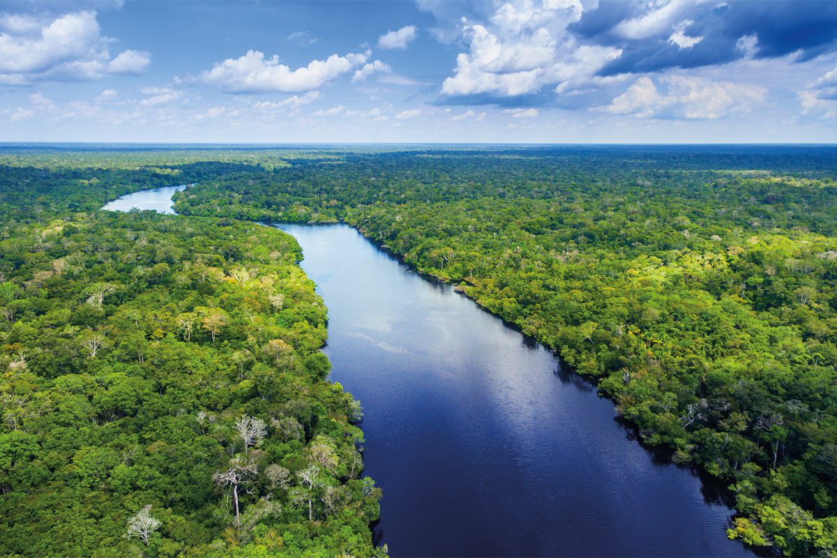 Rainforest in Latin America