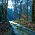 Government sets out new targets on air quality, water pollution, waste and woodland cover