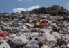 Cap-and-trade preferable to landfill bans, says report by European waste NGO