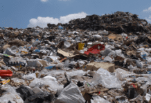 Cap-and-trade preferable to landfill bans, says report by European waste NGO