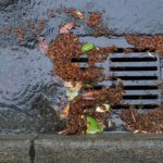 Contaminant cornucopia