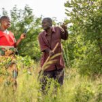 €1 million award for app-supported regreening programme