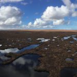 Research aims to to save European peatlands from climate change