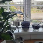 Common houseplants can improve air quality indoors
