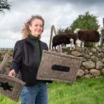 Draught-proofing for chimneys picks up Queen’s Award