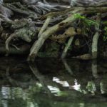 Planetary boundaries update: freshwater at stake