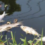 Slurry spill precautions