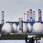 Predatory bacteria and digester ecology