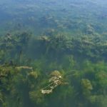 Models predict that planned phosphorus reductions will make Lake Erie more toxic