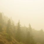 Smoking out the dangers