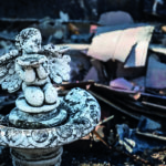 Wildfires can contaminate drinking water, reveals study