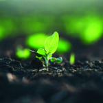 We need to change how we think about soil, says new research