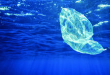 A roadmap to tackle marine litter: Experts consider key ingredients