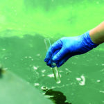 Tool to help understand the environmental effects of human medicines in Scotland