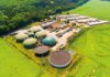 CCS rules have sidelined biomethane carbon removals, says new report Biogas facilities at an agricultural site in the Czech Republic.