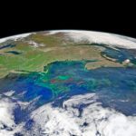 Plankton will store more carbon as Earth’s climate warms