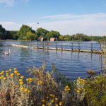 Advanced water quality monitor installed in the Serpentine