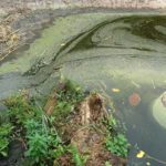 Study aims to better understand nitrogen pollution sources and solutions