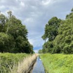 Groundwater monitoring underpins management of the Great Fen
