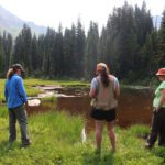 Certain environment authority decisions are based on trust in citizen data