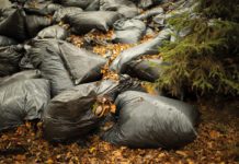 Incineration costs skyrocket for Scottish councils bin bags in a forest