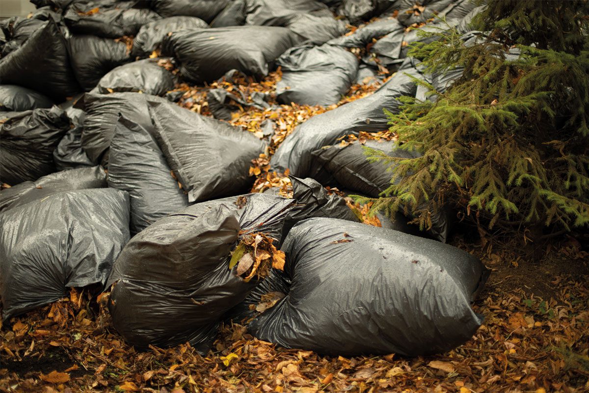 bin bags in a forest