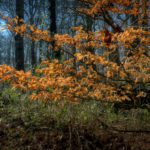 Comment: The UK Government’s deregulation agenda is dangerous