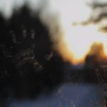 Grimy windows could be harbouring toxic pollutants