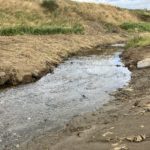 Projects aim to bring life back to Scotland’s rivers