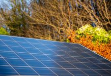 Trade groups call for solar funding reprieve in Scotland
