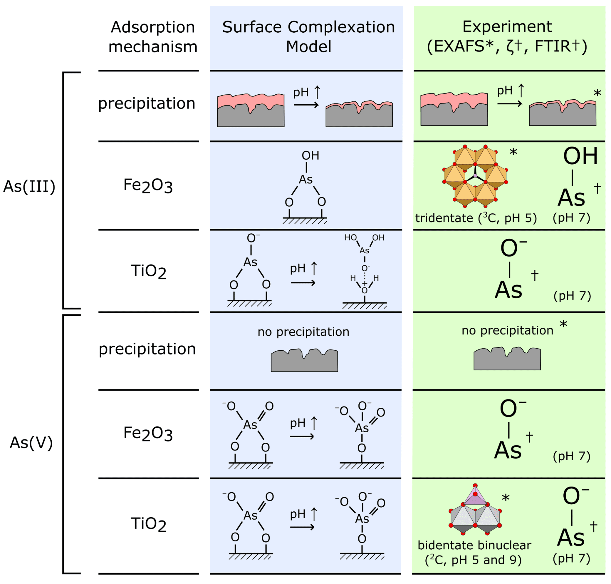 Arsenic-Decontamination-Model