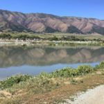 White paper validates innovative oxygen transfer technology