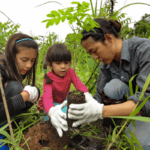 Fifteen ways to reforest the planet: Latest research profiled in publication