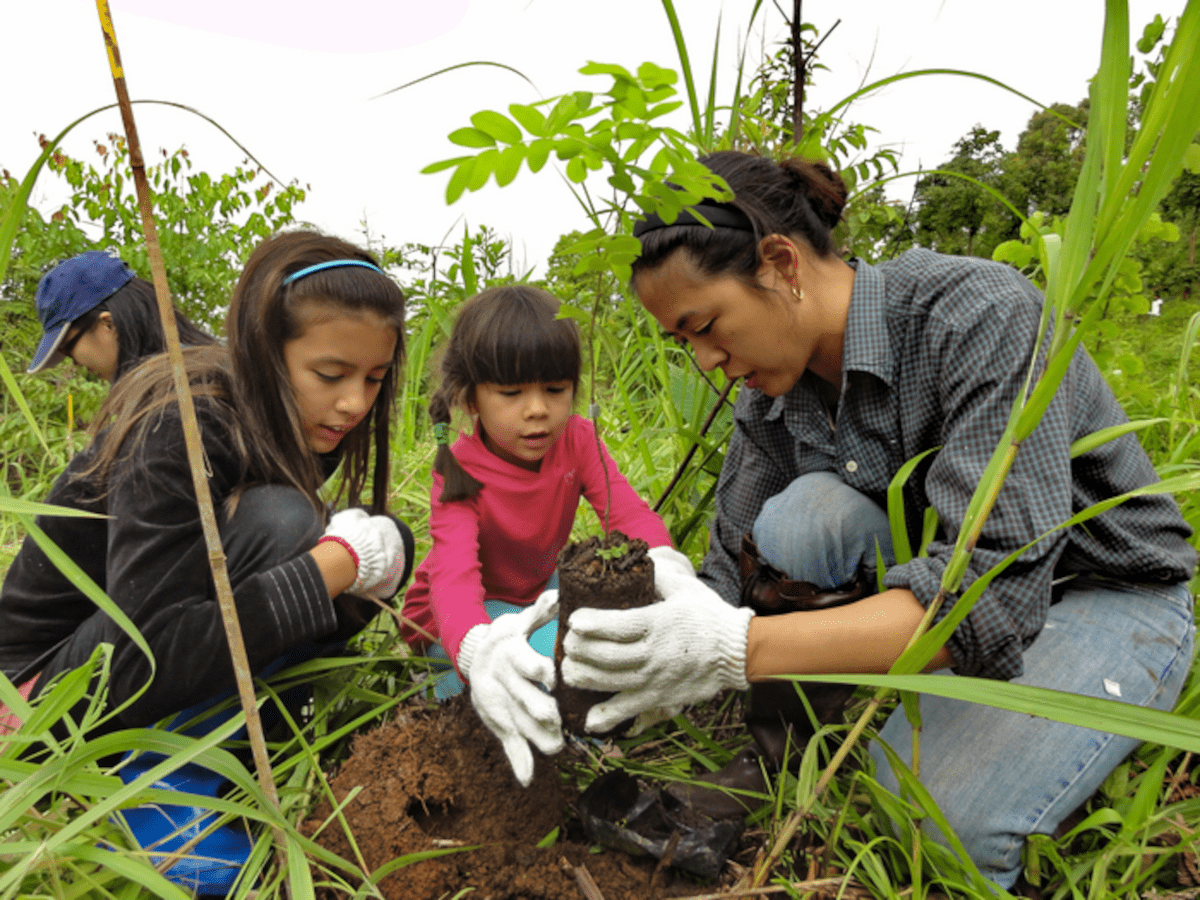 A-family-plants-trees-for-forest-restoration-in-Thailand