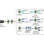 Magnetic field boosts biogas production