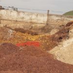 Sponsored Content: Peerless processing