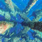 An offer of ‘kelp’: Recycling marine waste from inactive oil platforms