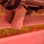 Sponsored Content: zero carbon farms use sensing technology to optimise growing conditions underground