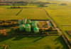UK biogas industry urges ministers to back British gas over costly imports